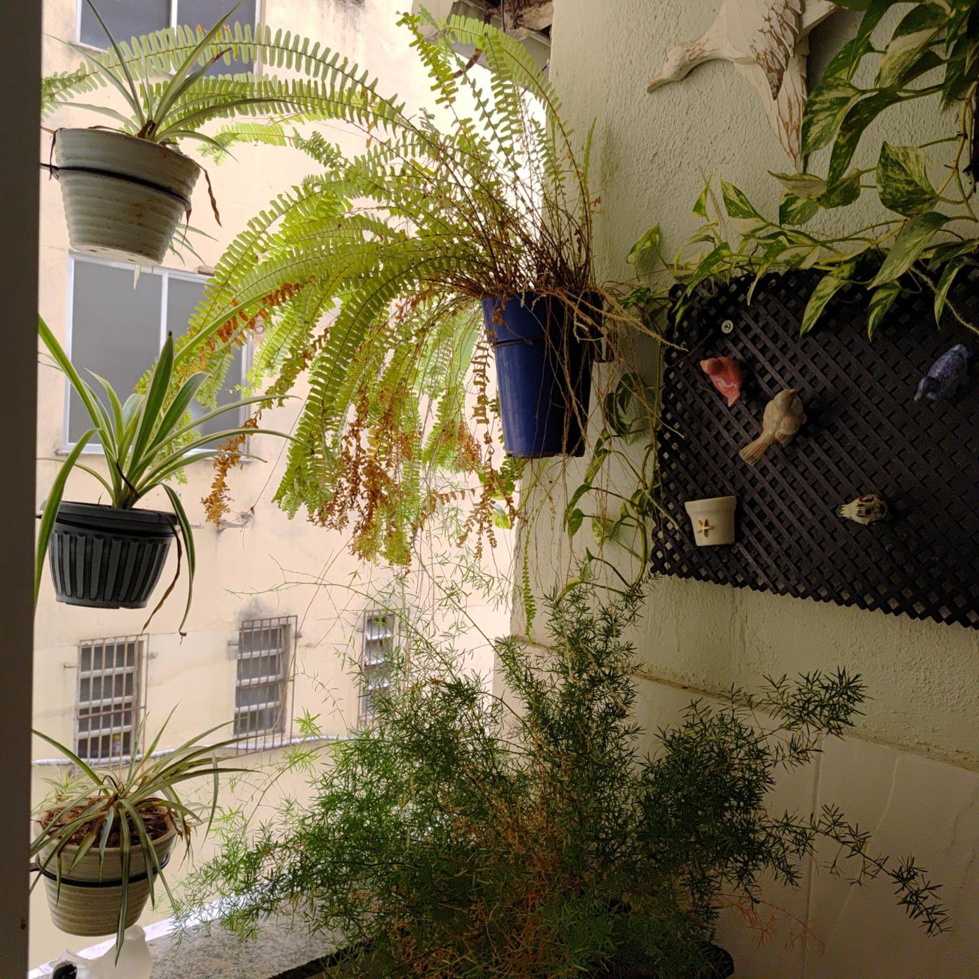 Apartment Copacabana Posto 4 *
